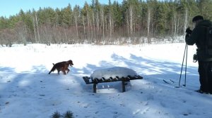 21 марта 2024 г.