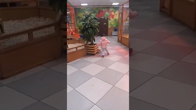 Николь Селютина в контактной зоопарке смотреть онлайн