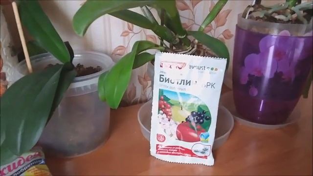 Орхоманам на заметку, БИОТЛИН.