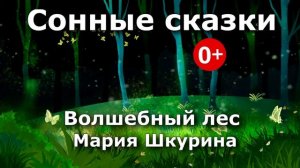 Волшебный лес. Аудиосказка. Мария Шкурина. Сказки для детей.Сонные сказки (0+)