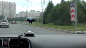 Проверил, как работает старый радар-детектор SHO-ME в современных условиях | ТЕХНОМОД