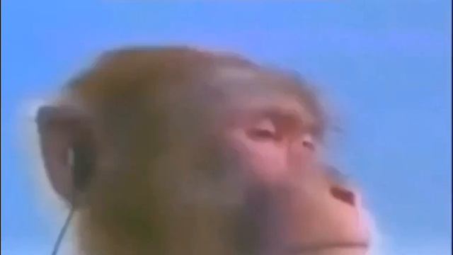 у мужлан нет прав 1 час смотреть онлайн