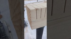 Запил лапы циркуляркой