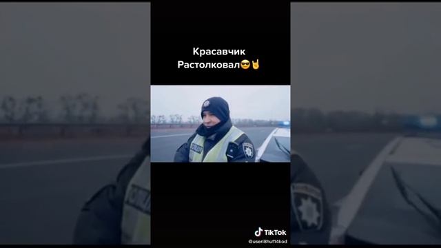 3 вида полицейский