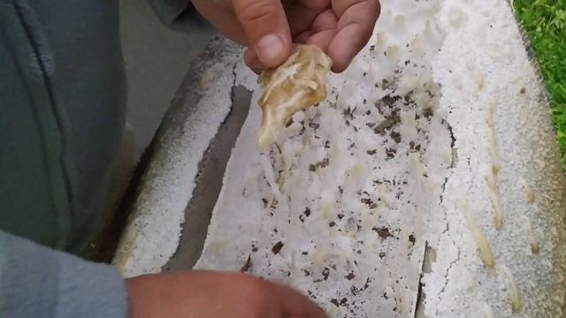 Пожарные испытания пенопластовой системы утепления фасадов Основит, не горит пенопласт, не опасен смотреть онлайн