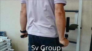 Шведская стенка Sv Pro БС (обзор)
