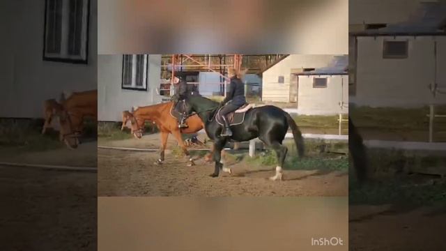 Ооочень крутая кобыла!! Приглядитесь ТОЛЬКО ЧТО СДЕЛАН ВЕТЧЕК