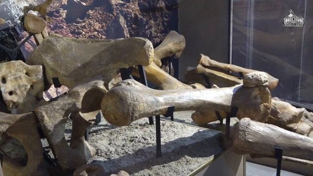 Азовский музей посетили участники Всероссийской акции Добропоезд-2021