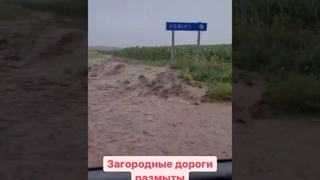 Затопленная дорога у деревни Новики под Гродно