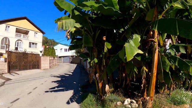 ул. Ольховая в Волконке! Но мне русалка понравилась!🌴ЛАЗАРЕВСКОЕ и Я