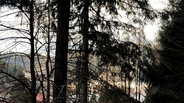 Закарпатье/Красивейшая природа/Санаторий/Все очень недорого/Источник/Нет аналогов в мире/Приезжайте