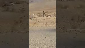 #Баткен на видео как таджики подло напали на мирный народ Баткена