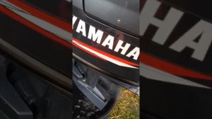 Лодочный мотор Yamaha 30 hwcs