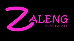 DJ^ZALENG - Disco Goloso