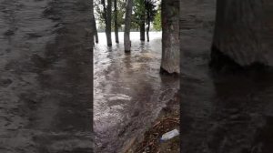 Астраханская область, Красный Яр пришла вода🌊