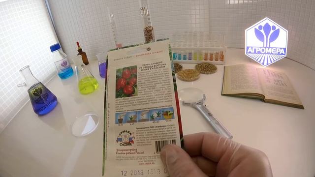 Перец сладкий Звезда Востока Белая в Красном F1. СеДеК смотреть онлайн