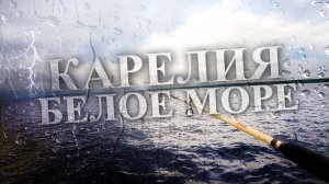 Карелия 2023 Белое Море || Заехали в УМБУ || Сломалась машина в Карелии || Отливы на Белом море