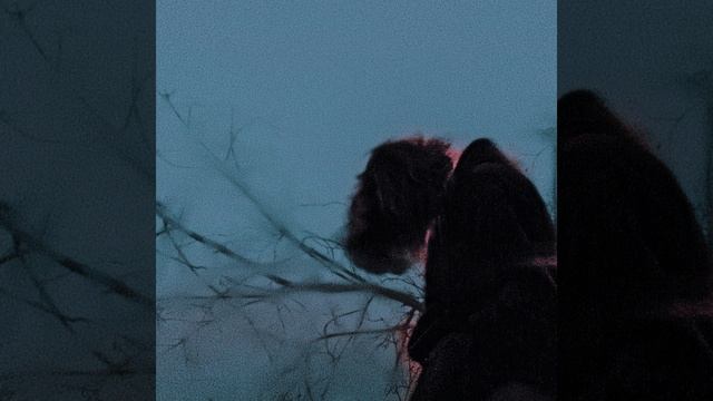 Притворяюсь