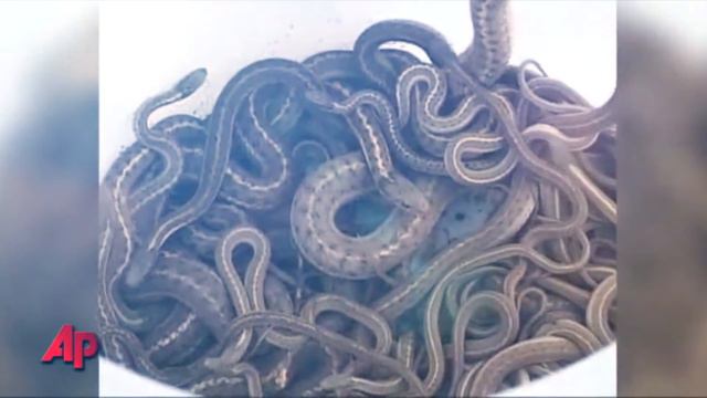 Жуткие находки в домах, странные вещи снятые на камеру