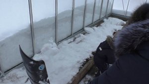 Стеклянные теплицы зимой/ Земля для рассады/ Февраль в Московской обл.