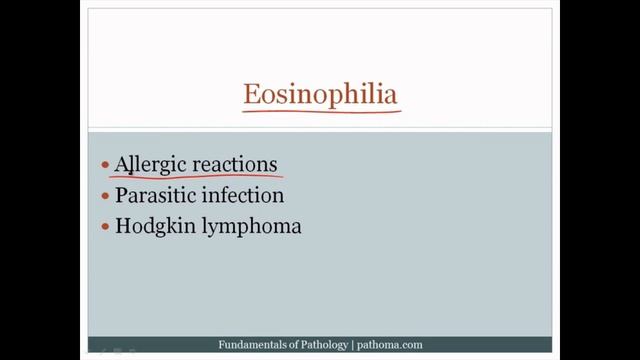 Pathoma USMLE - VI ГЛАВА - 1.Лейкопения и лейкоцитоз