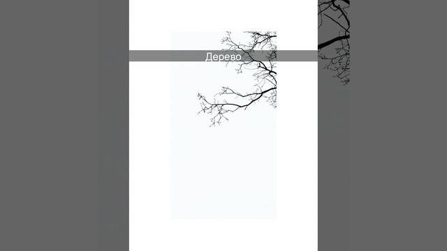 Tree RU-EN