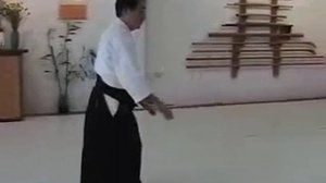 Taichi style Aikido 42 Forms.mp4
