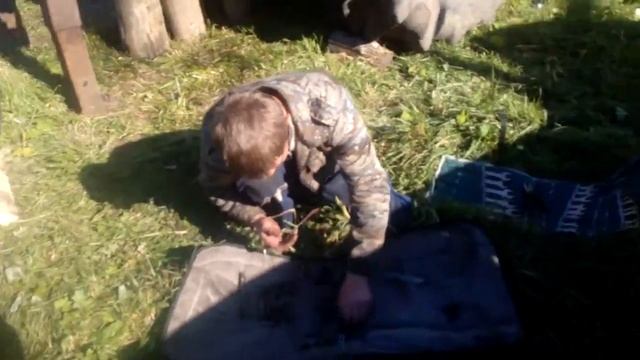 Как нужно сделать трактор смотреть онлайн