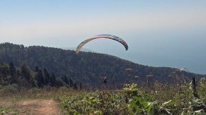 Прыжок под парапланом и Жоэкварское ущелье. Абхазия, Гагра, лето 2014 года