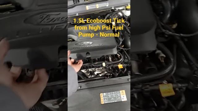 1.5L Ecoboost Tick - Customer States I hear A Tick when engine running - here is 1 sound смотреть онлайн