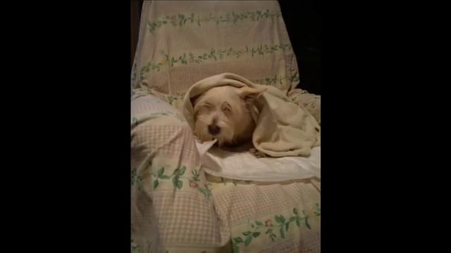 Johann Johannsson the flat смотреть онлайн