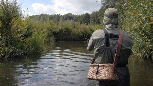 Съедобные силиконовые приманки, часть 2. Выпуск №72 (Братья Щербаковы)