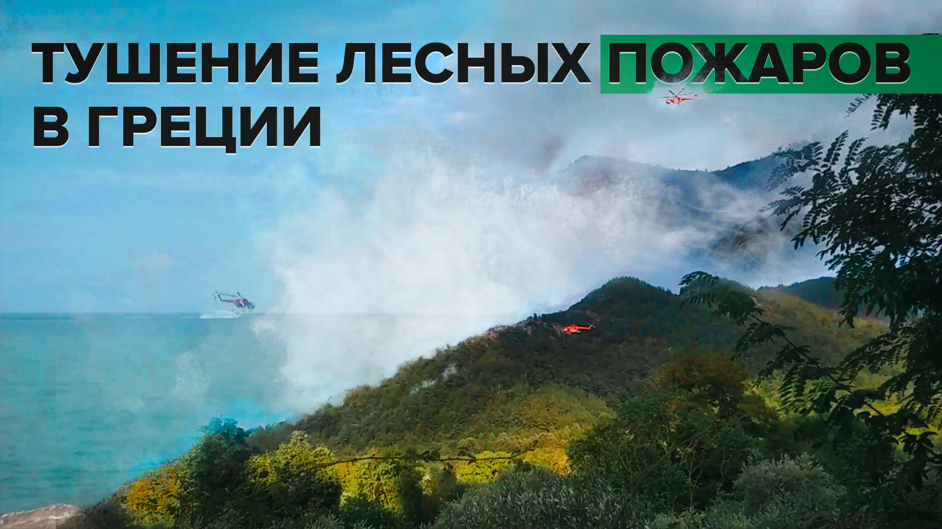 Тушение лесных пожаров на греческом Тасосе — видео