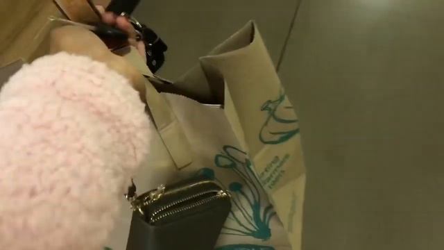 SHOPPING FOR A FLOWER LIGHT WALL | TRYING FRIED SUSHI FOR THE FIRST TIME | MY 5 DOLLAR CHALLENGE смотреть онлайн