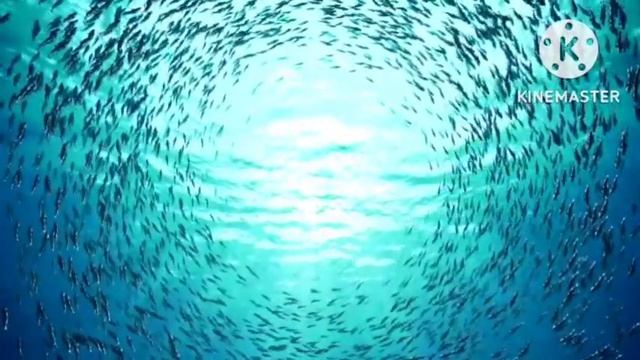 ОФИЦИАЛЬНОЕ ЗАЯВЛЕНИЕ// рассмотрим других блогеров?)) смотреть онлайн