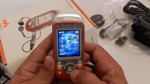 Sony Ericsson  W600 / W550i