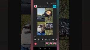 Приложение INSHOT. / Как смонтировать видео с новой функцией PIP?
