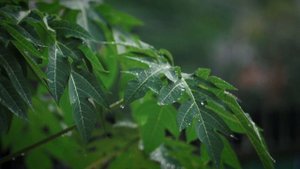 Слова Исцеления из Библии для размышлений и сна