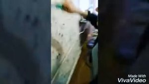 Засосала паучков в пылесос.