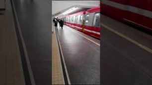 Станция метро Пушкинская, поезд убывает в тоннель