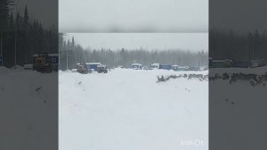 Север тайга отсыпка куста