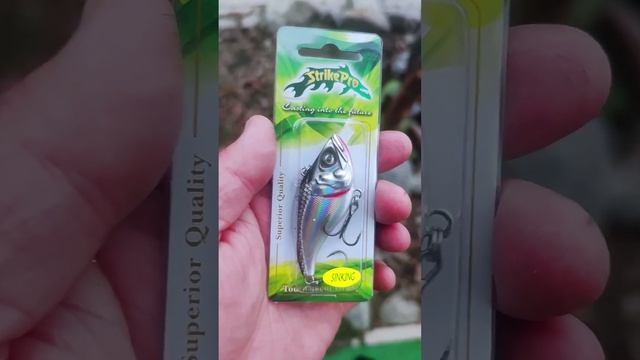 РЫБАЛКА ЭТО ДИАГНОЗ