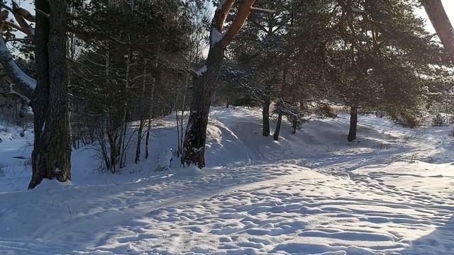 Окрестности села Махра Александровский район Владимирская область.