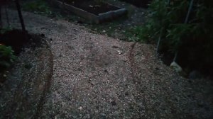 16 октября 2022г. СЕЕМ КОПАЕМ соседи убирают деревья СНИМАТЬ ШУМНО