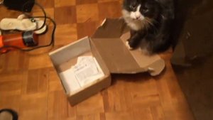 Сколько можно заработать сдавая медь из мусорки? Поиск находок на мусорке!! Топовые находки!!!