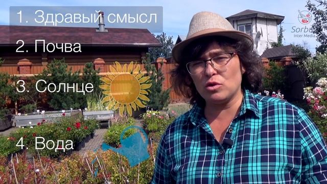 Некапризные растения. Неприхотливый сад.