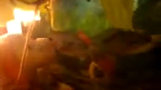 Тяпа + рыбы смотреть онлайн