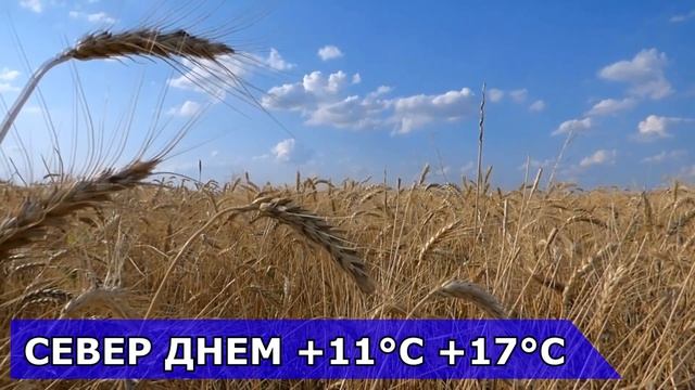 ПОГОДА НА 7 ОКТЯБРЯ : ПОГОДА НА СЕГОДНЯ
