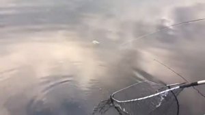 Сызрань, база "Удача"