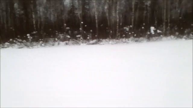 Озеро Большое, Фрязино